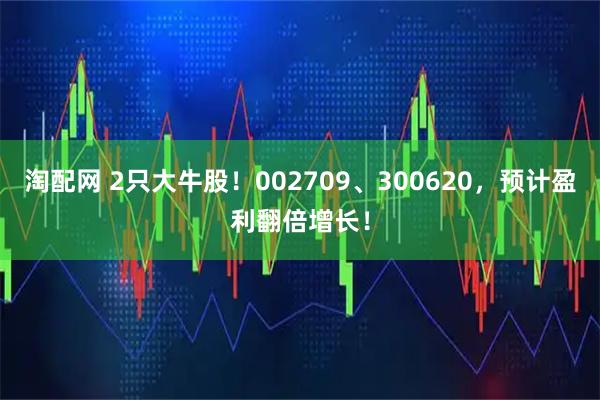 淘配网 2只大牛股！002709、300620，预计盈利翻倍增长！